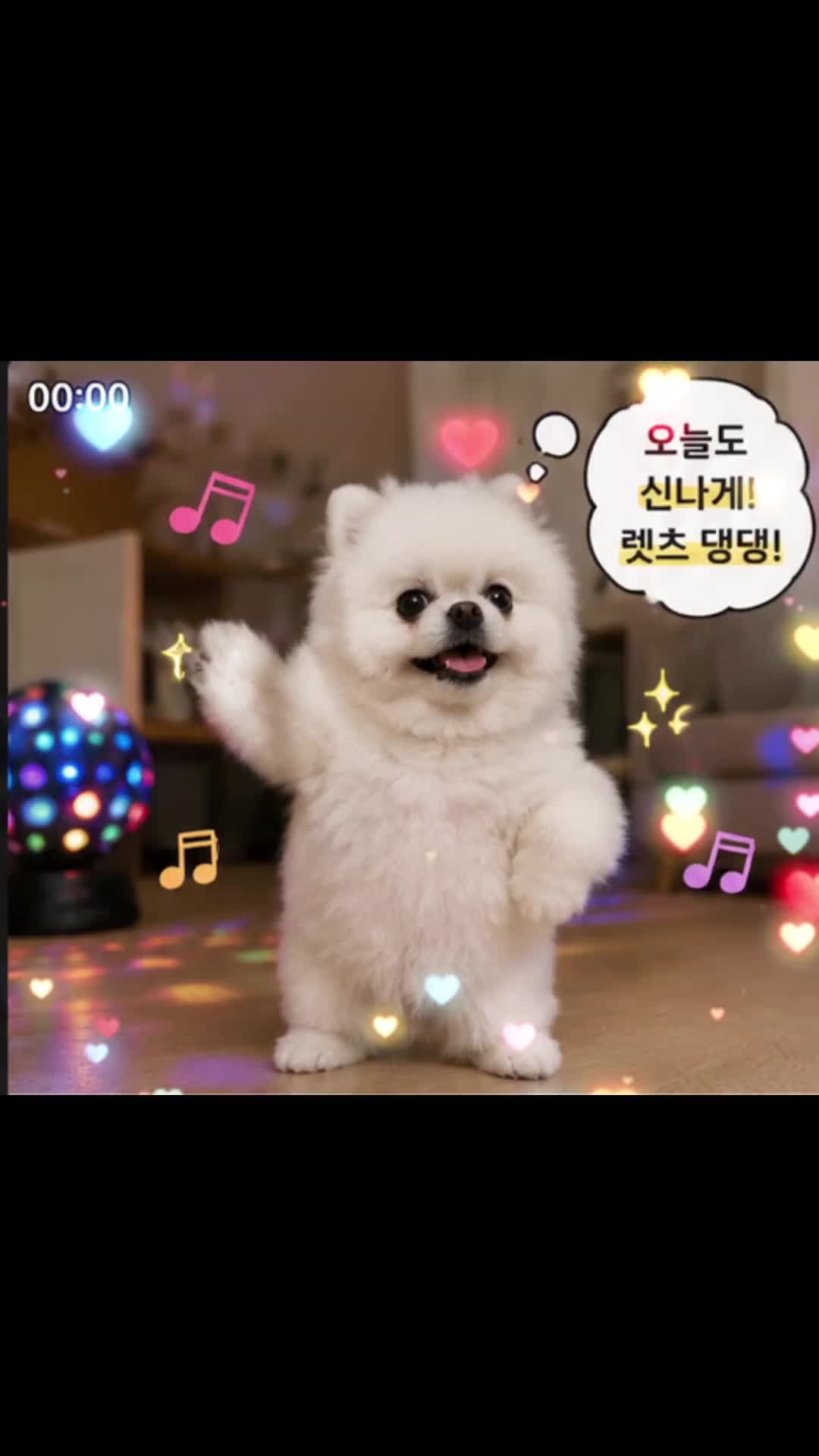 @두진이와두리 아빠