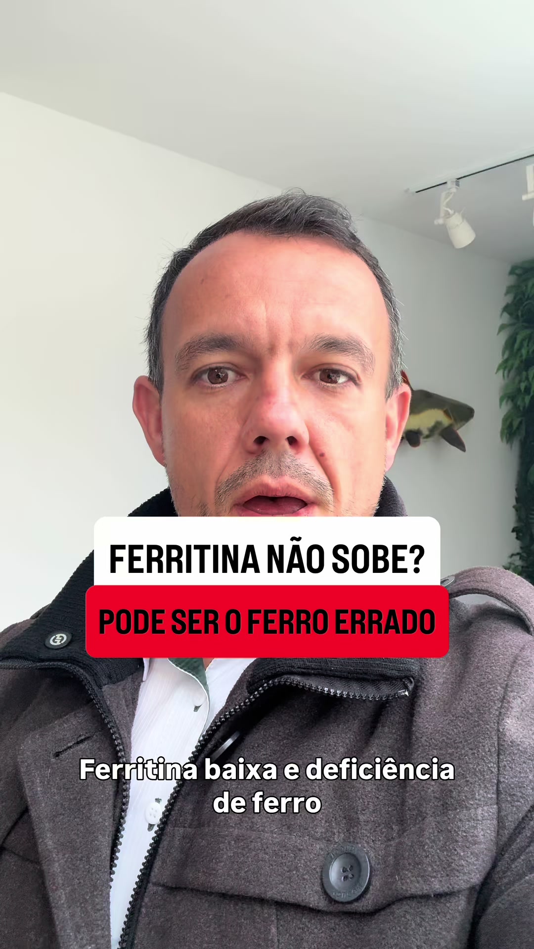 @Humberto Paes