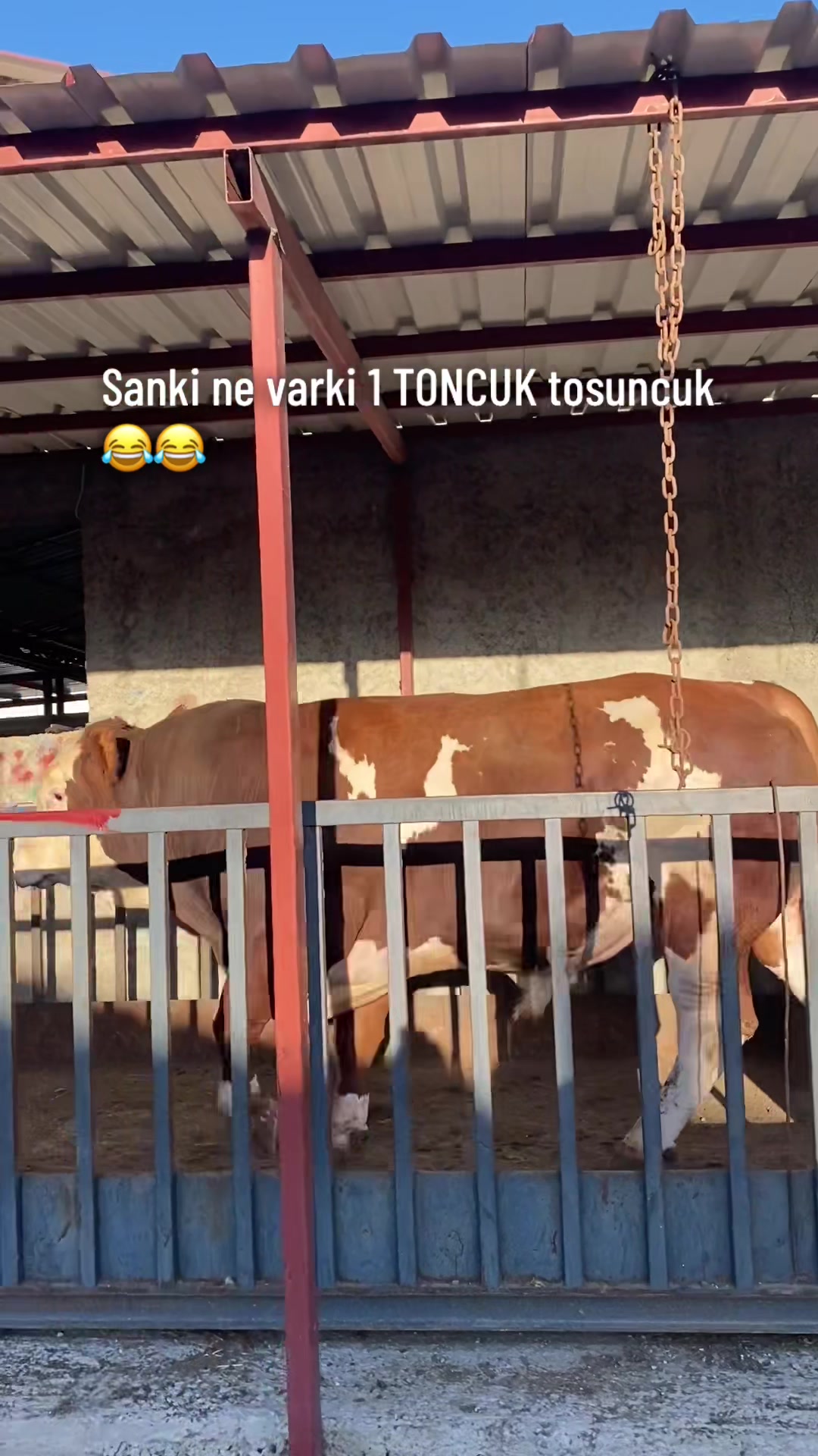 @Hilal Karababa