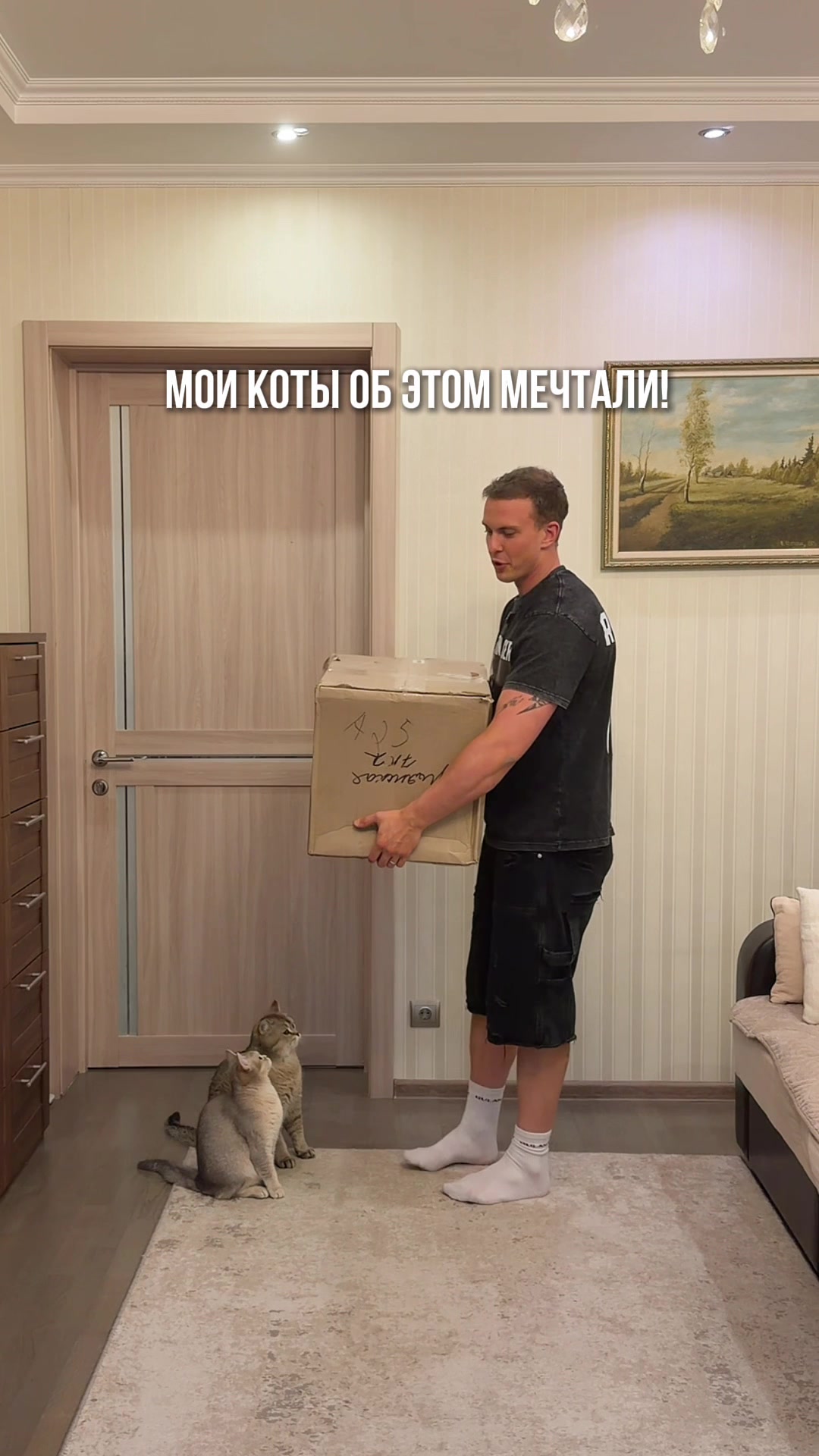@котопапа