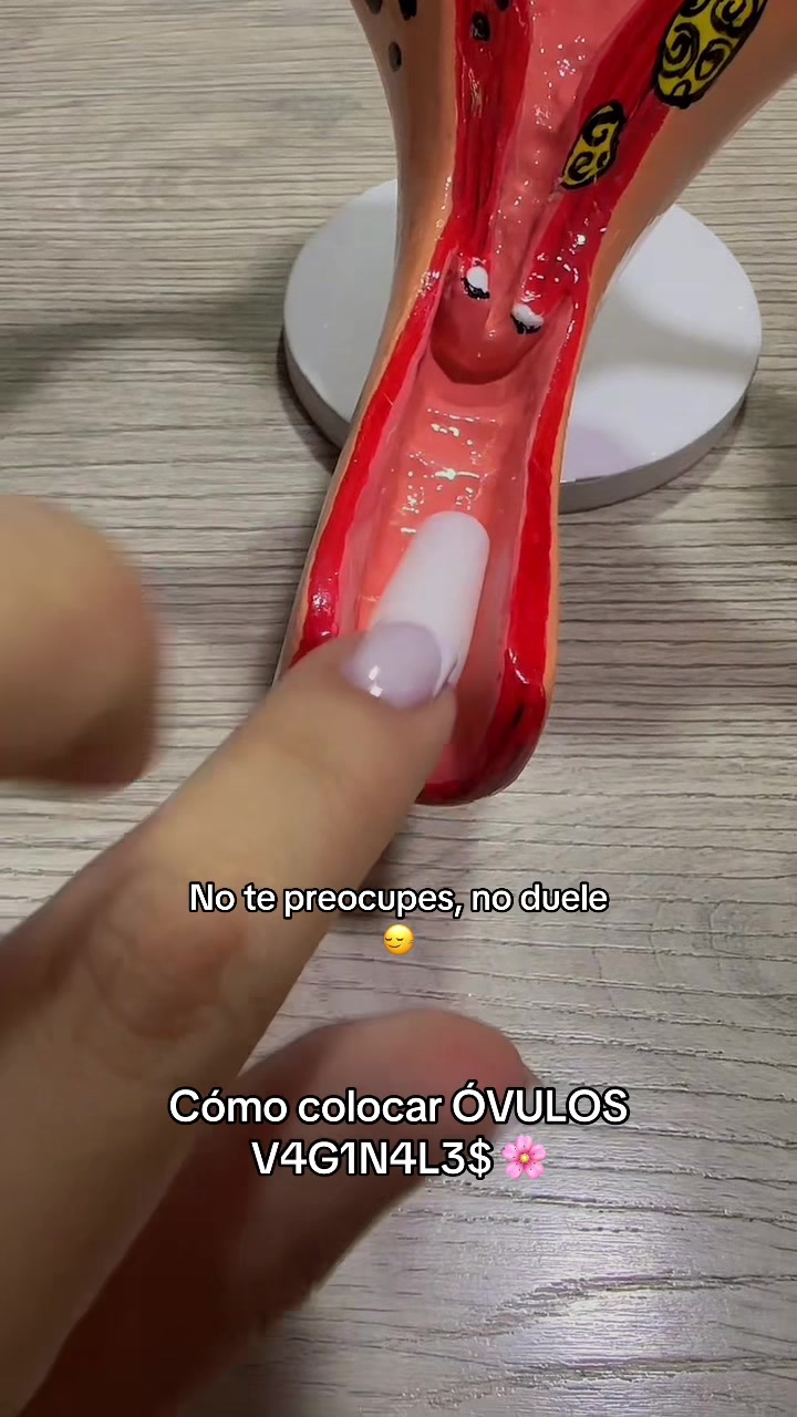 @๐ธ ๐ ๐ ๐ ๐ ๐ ๐ ๐ธ