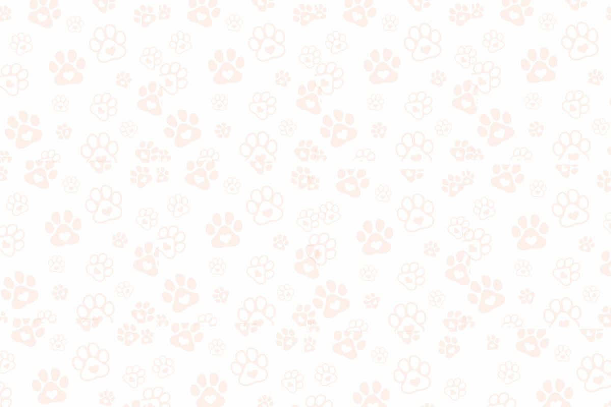 @𝘁𝗮𝗿𝗻𝗶𝘀𝗵𝗲𝗱 !