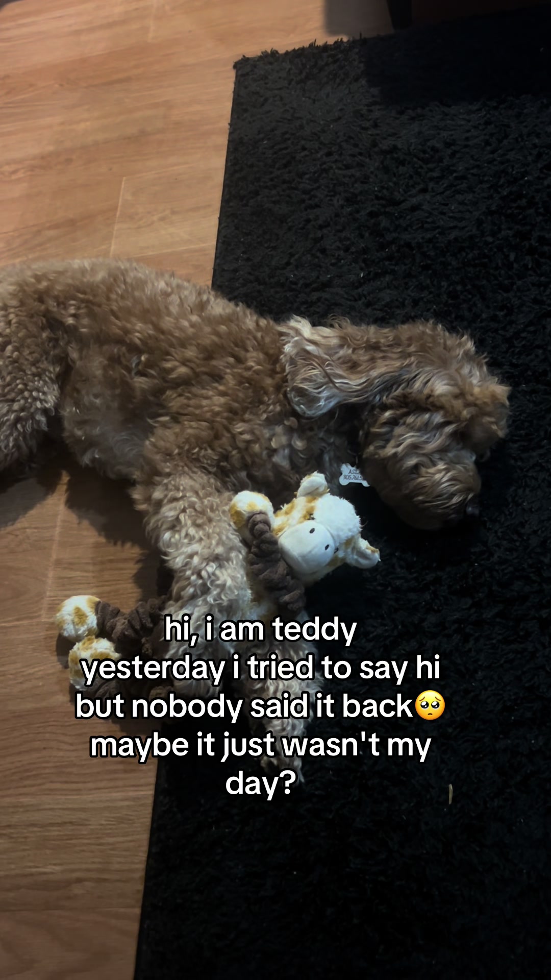 @Goldendoodlelover
