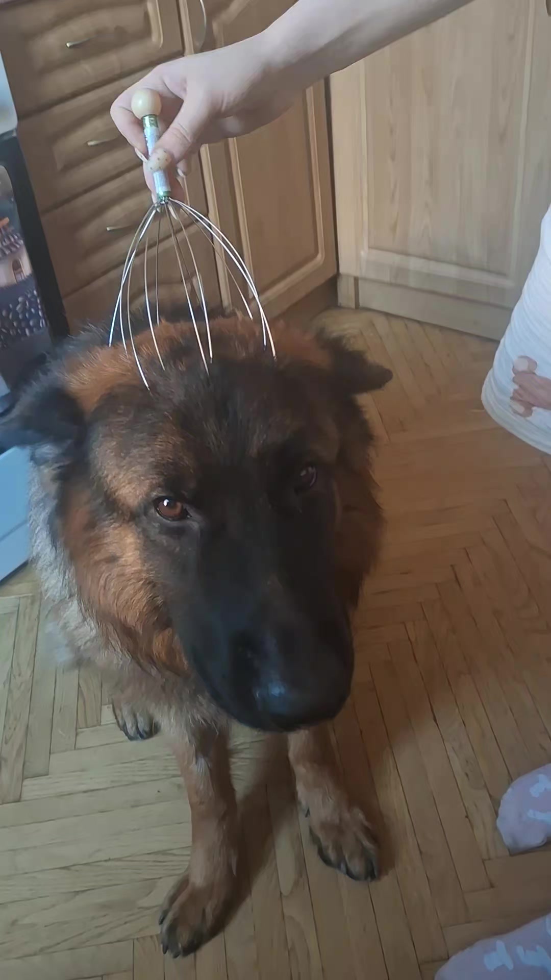 @МАТЬ ДРАКОНІВ🤣