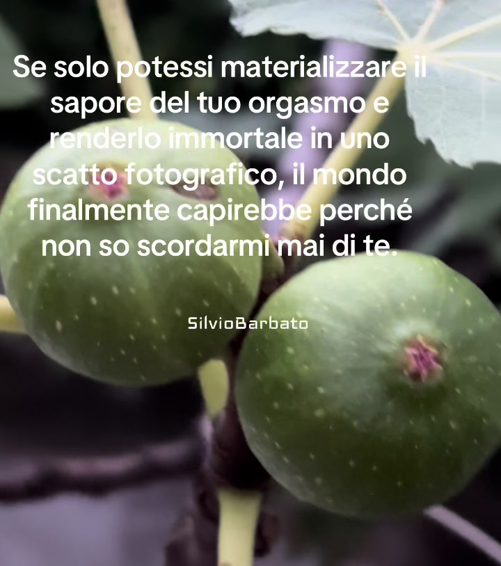 @Silvio Barbato
