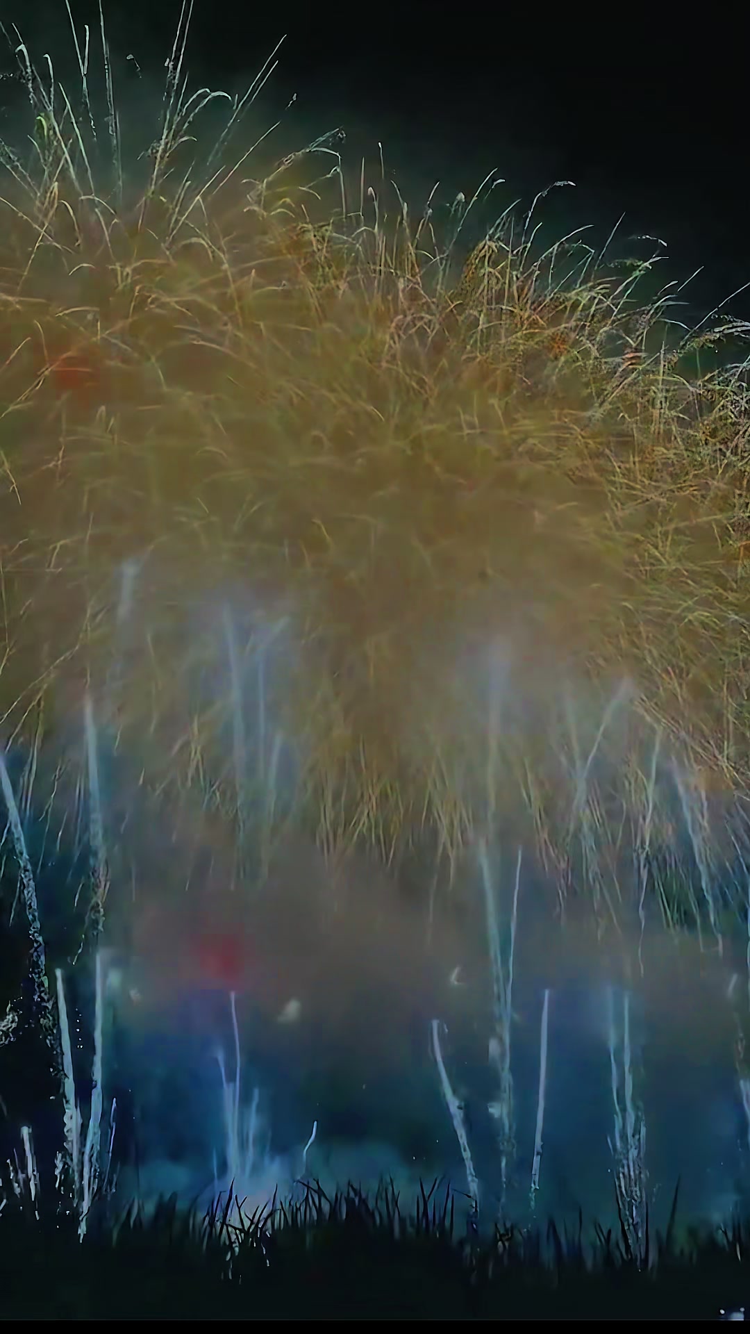 @ザビマル🍺🎆✈️🍺🎆✈️💫
