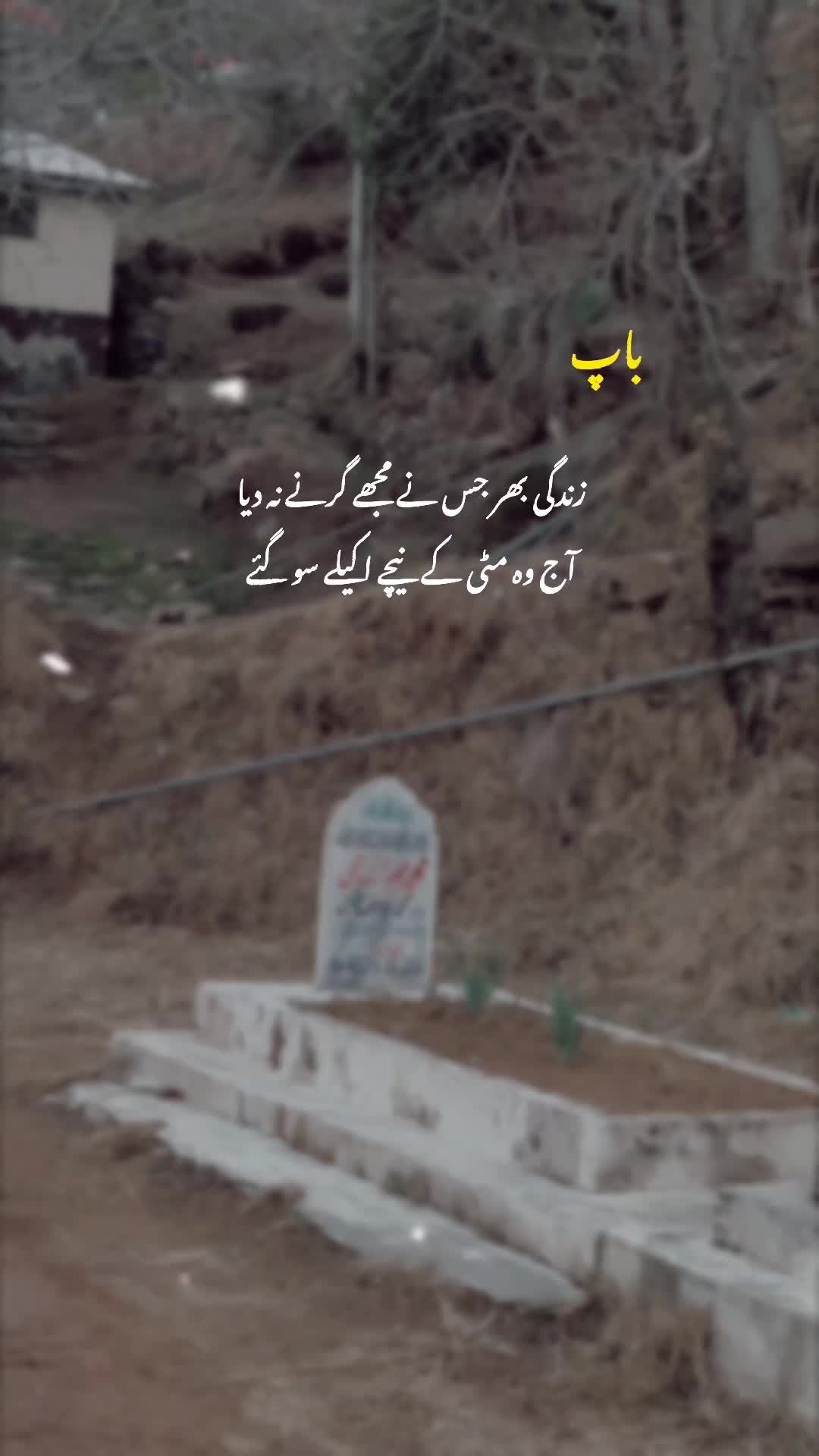 @Ubaid Abbasi ⚜️