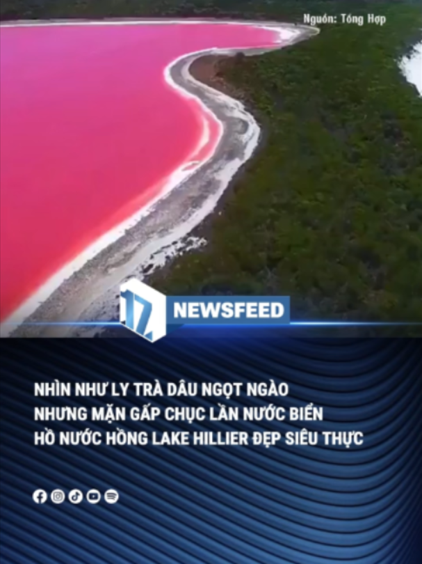 @17 NEWSFEED