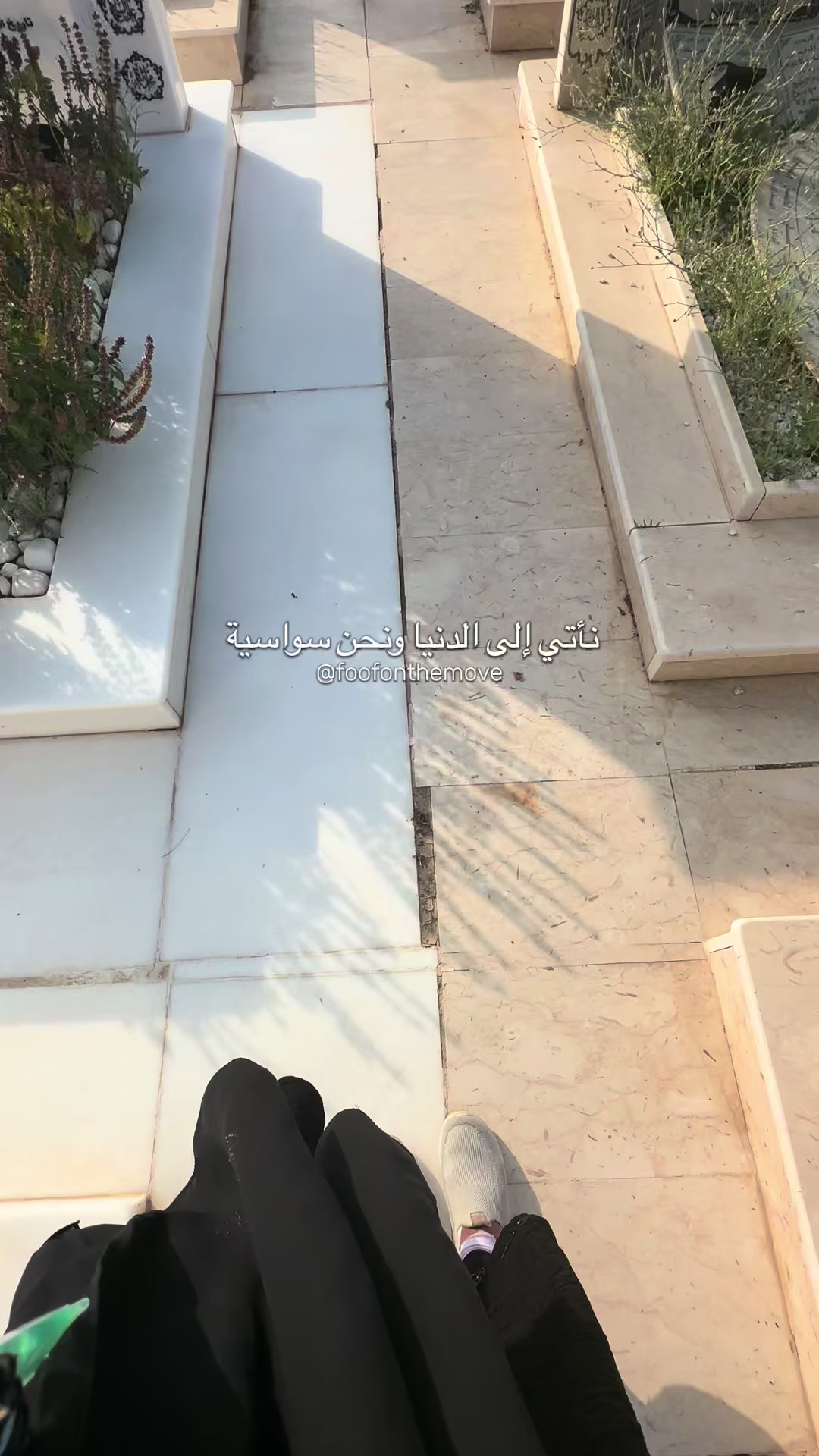 @Wafaa