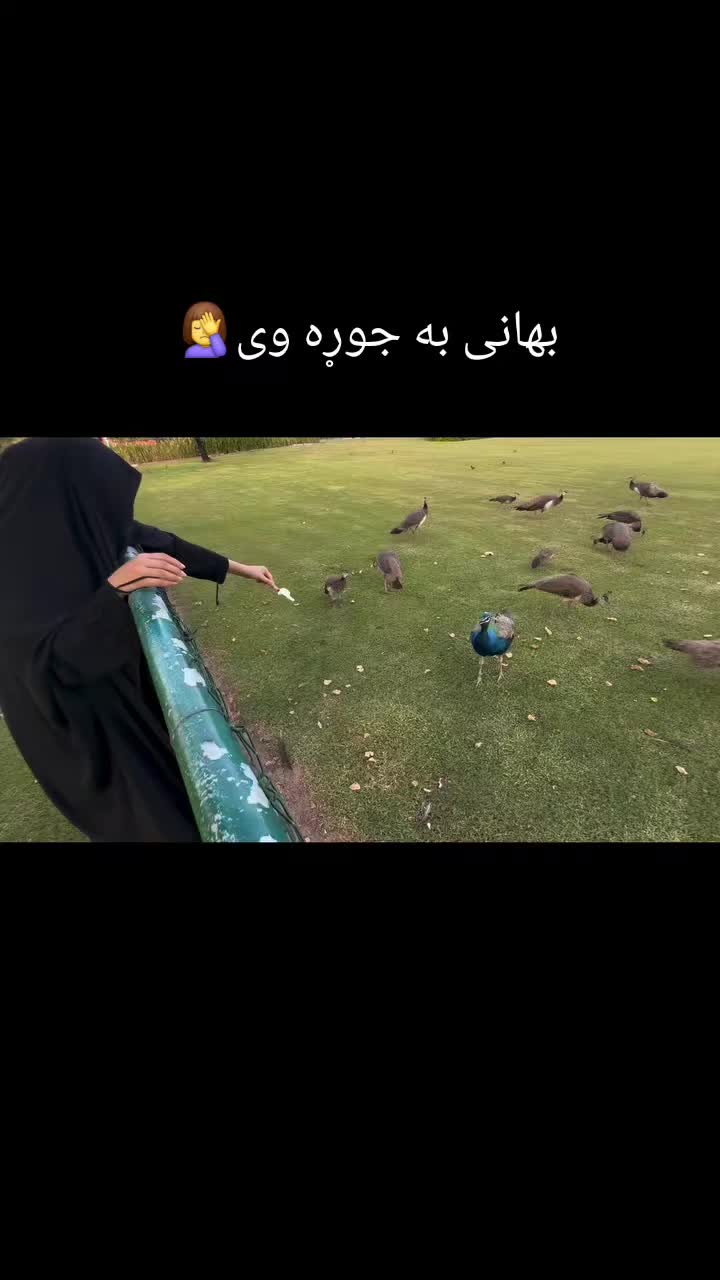 @🦋༎꯭ࠫ𝆺꯭𝅥𝐊𝐚𝐥𝐬𝐨𝐨𝐦𝅒͜🕊️