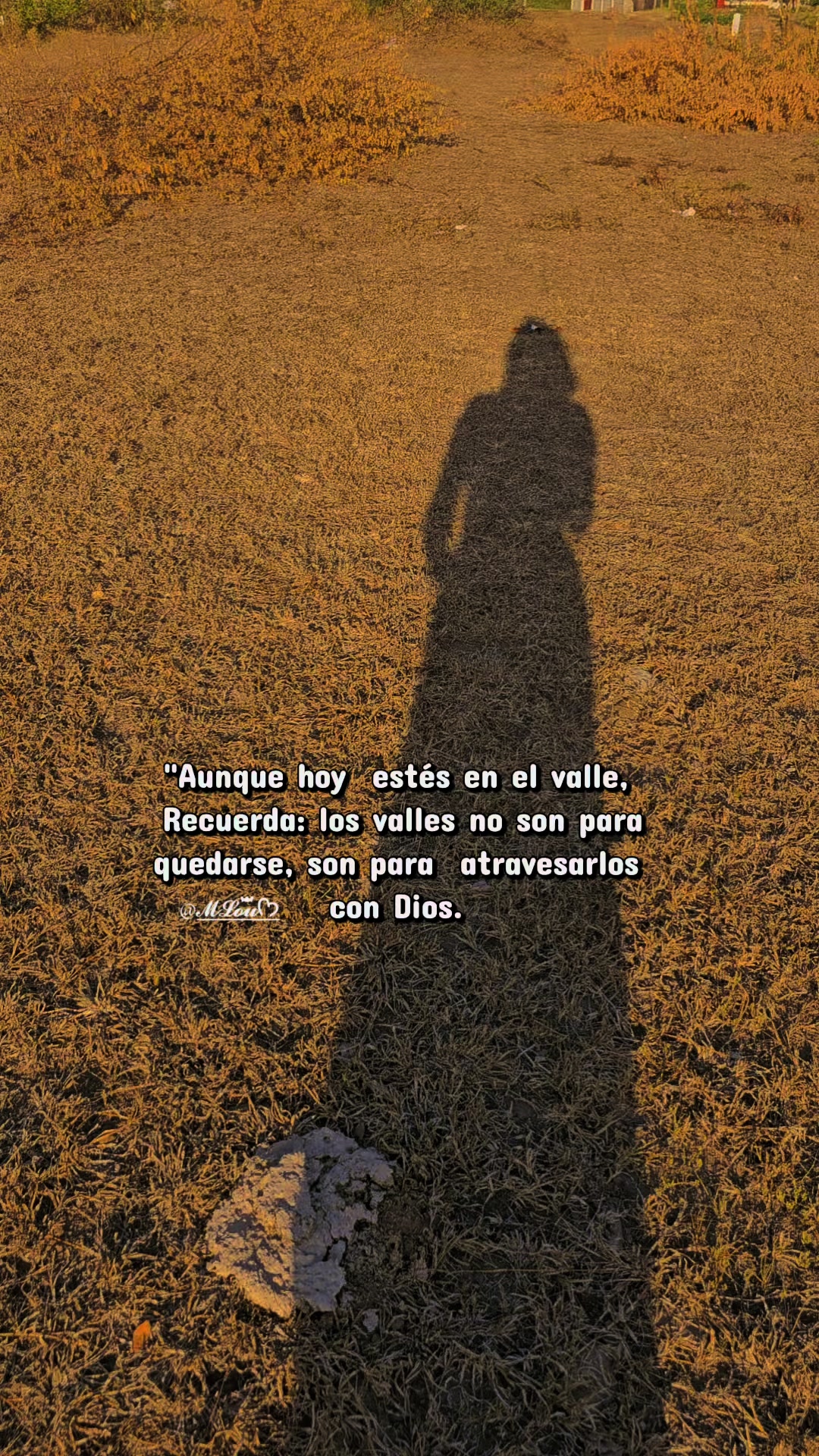@𝓜𝓛𝓸𝓾ꤪꤨꤪꤪꤨꤪᡣ𐭩