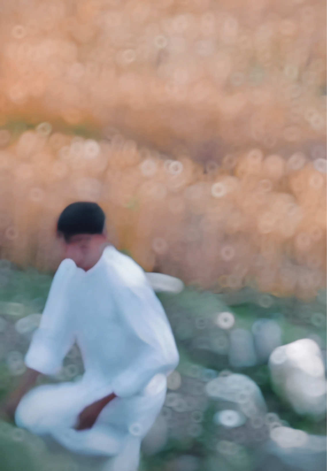 @فرحان 🍁