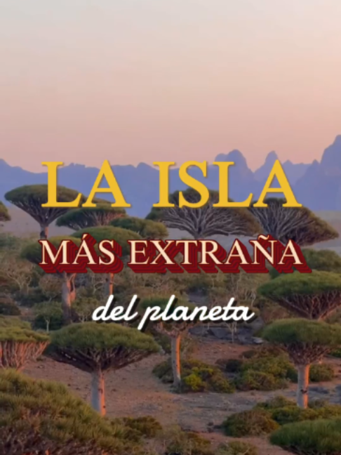 @TravelReportMX