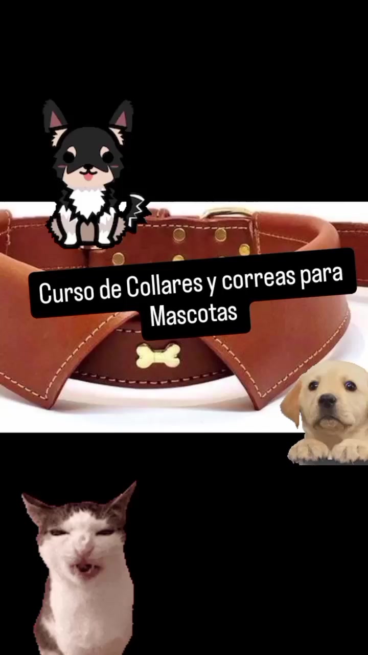 @Cursos calzado y carteras 👠