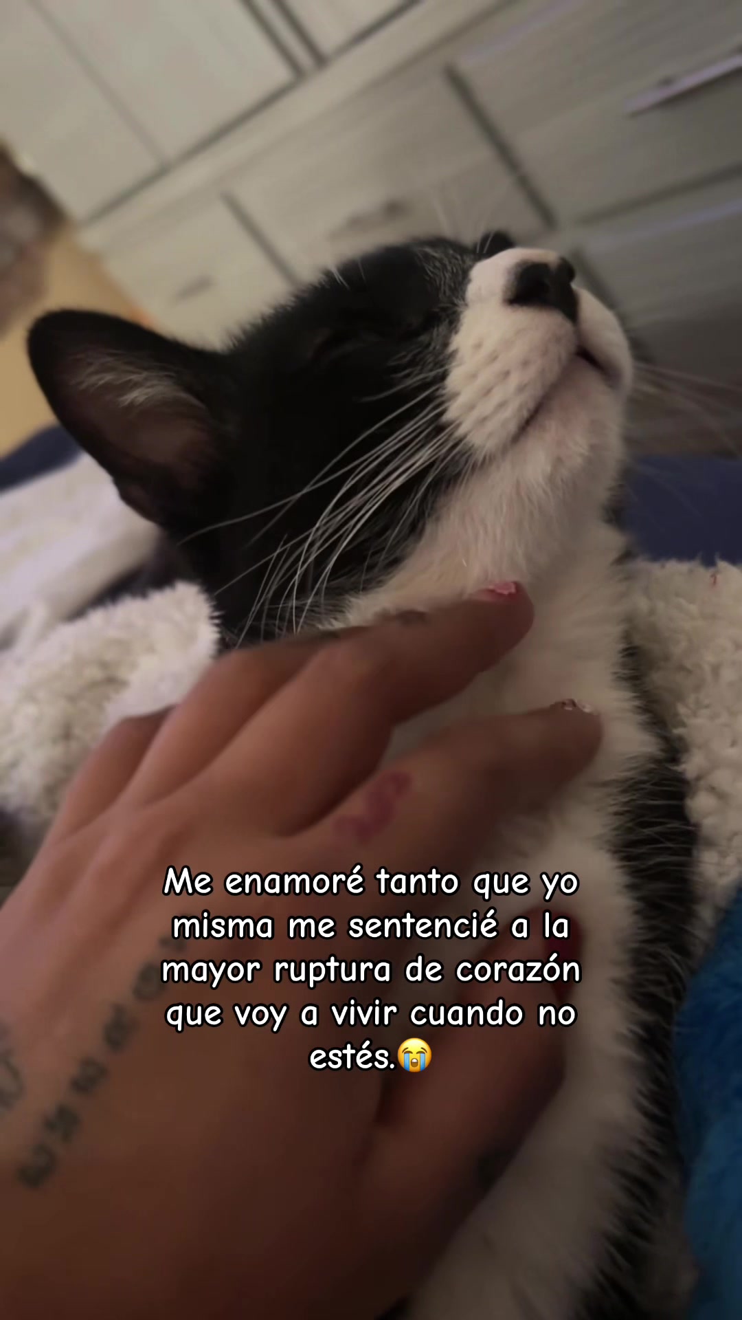 @Johana OM