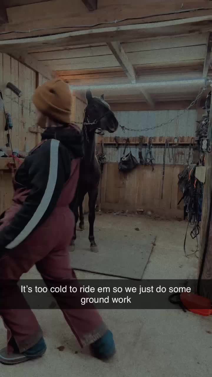 @Red☠️