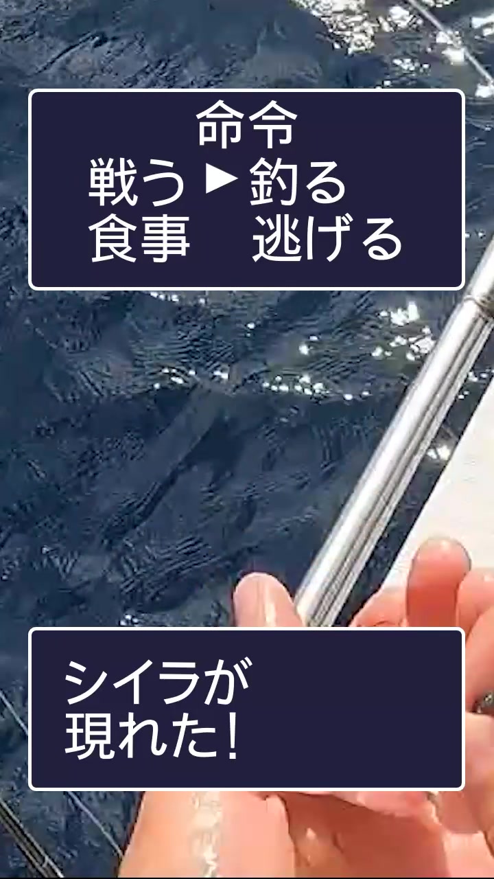 @エルドラド