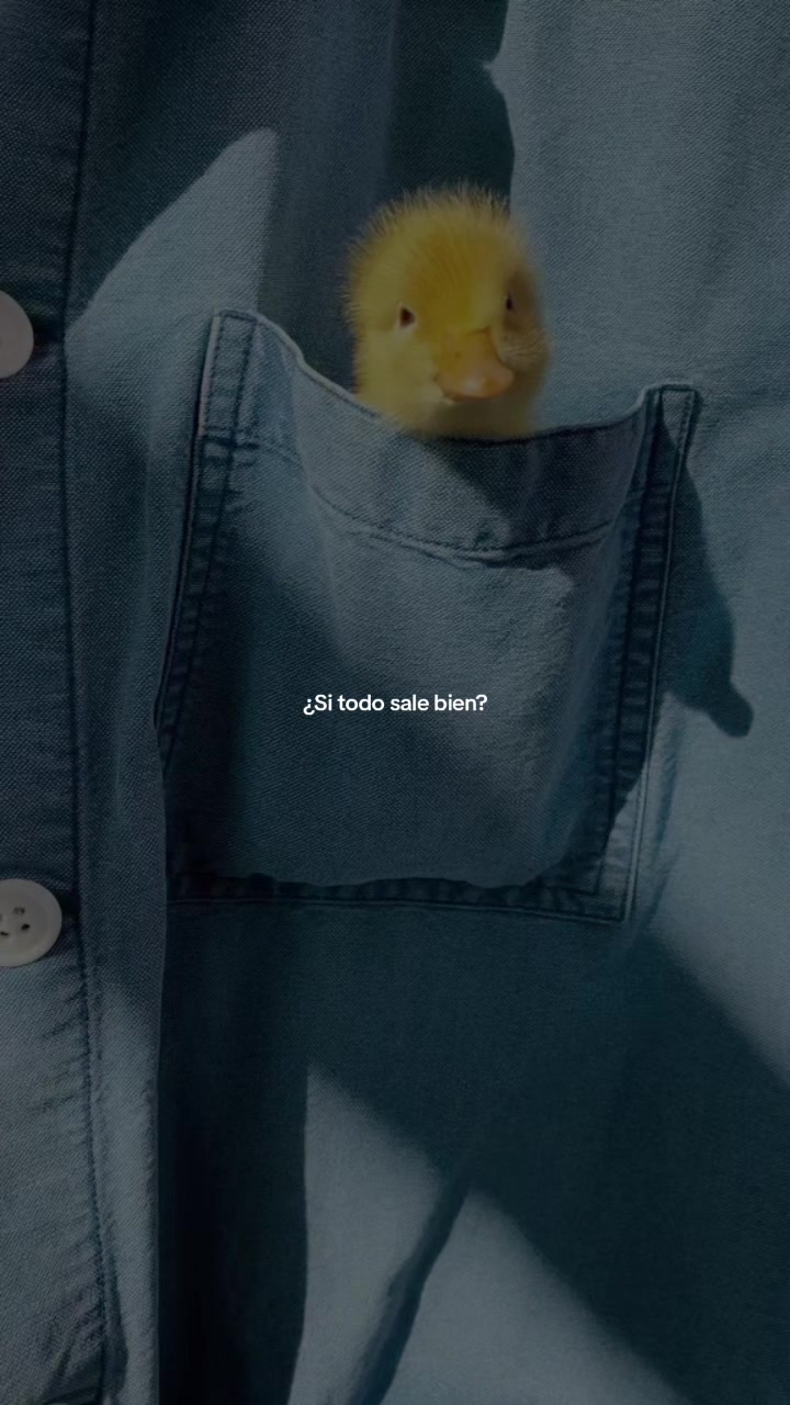 @🌻𝕮𝖆𝖗𝖔𝖑𝖎𝖓𝖆❥︎🐝