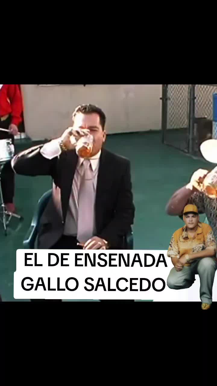 @EL Gallo Salcedo🇲🇽