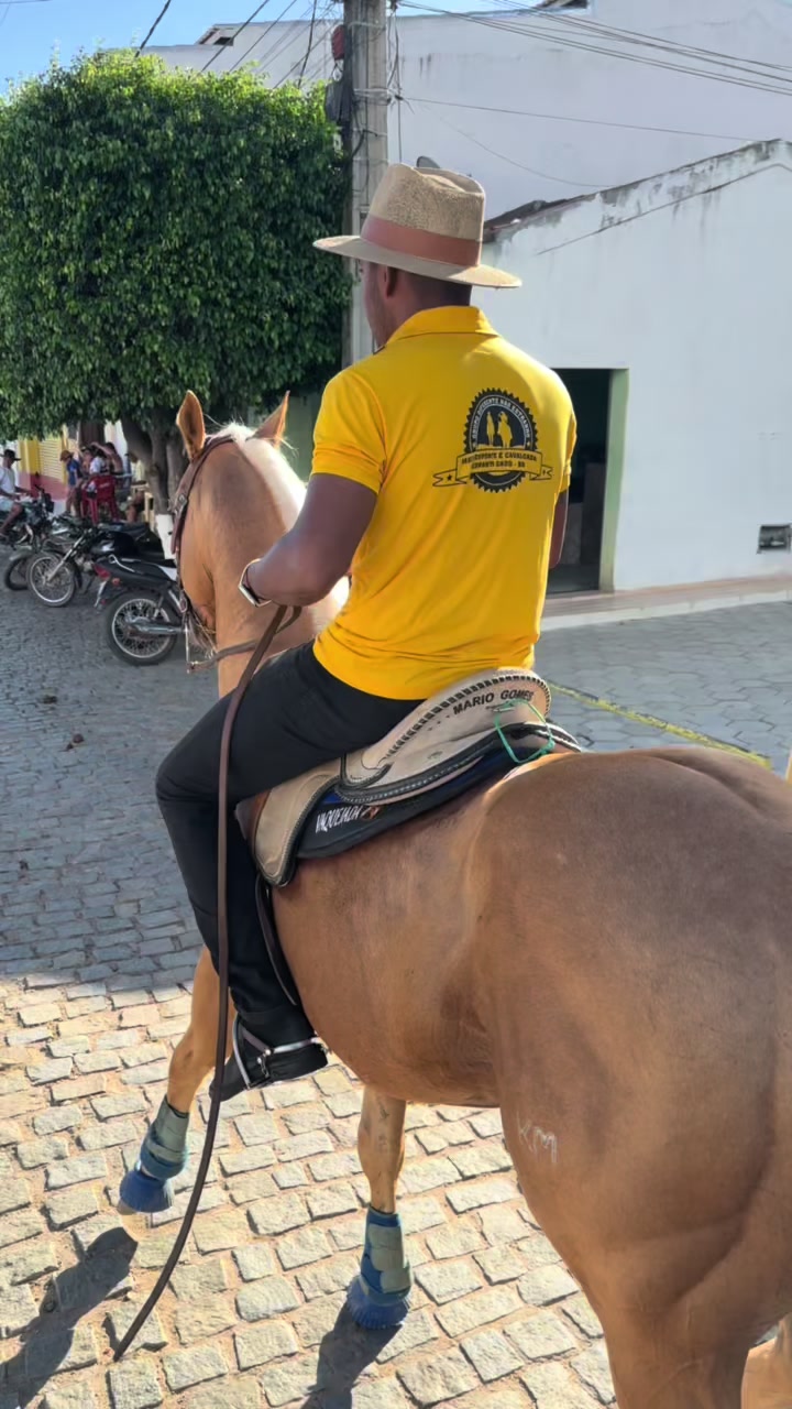 @Mário Gomes
