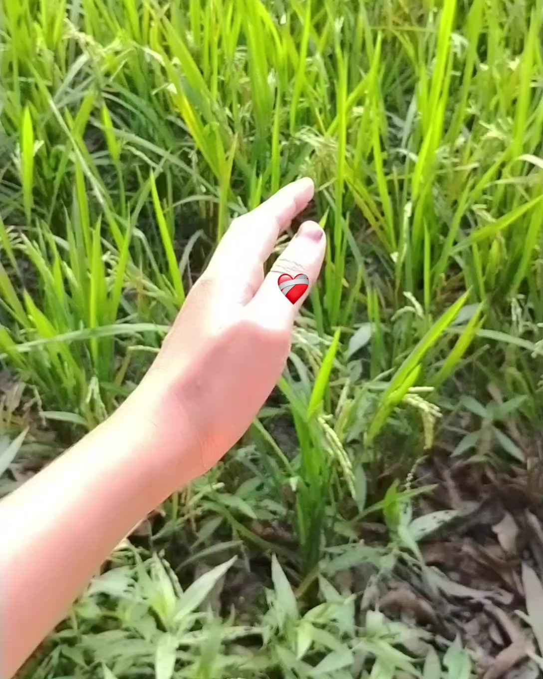 @Mihu?