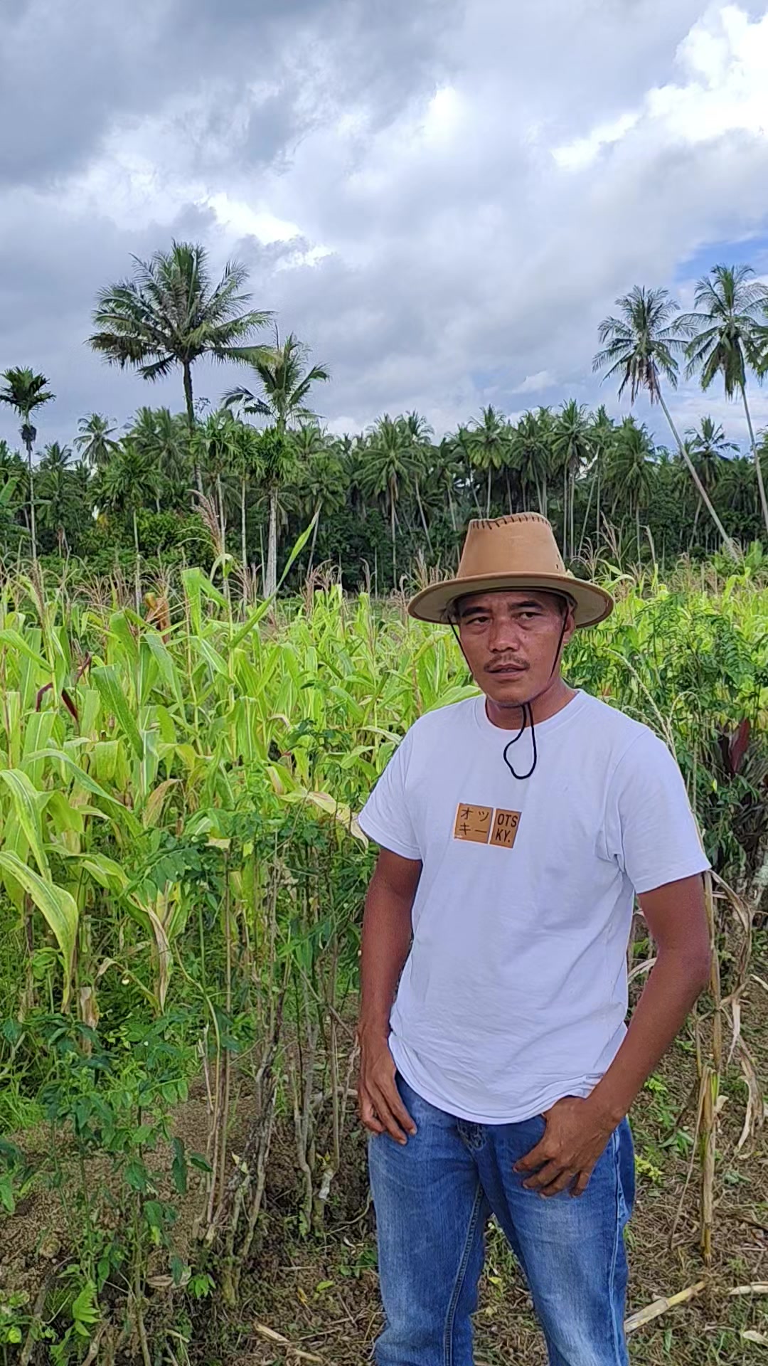 @petani kecil ujung tapsel