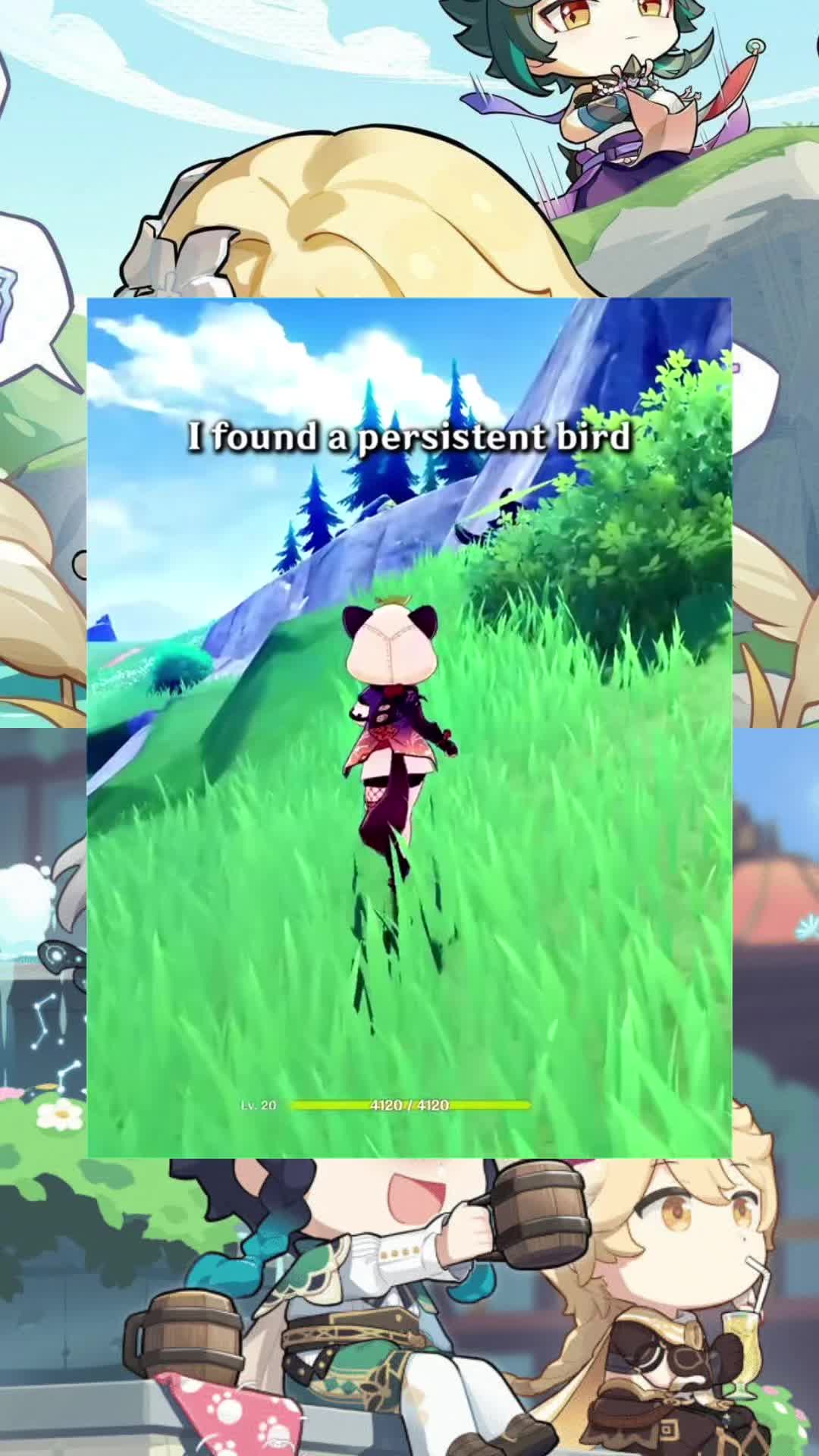 @Genshin Ascension