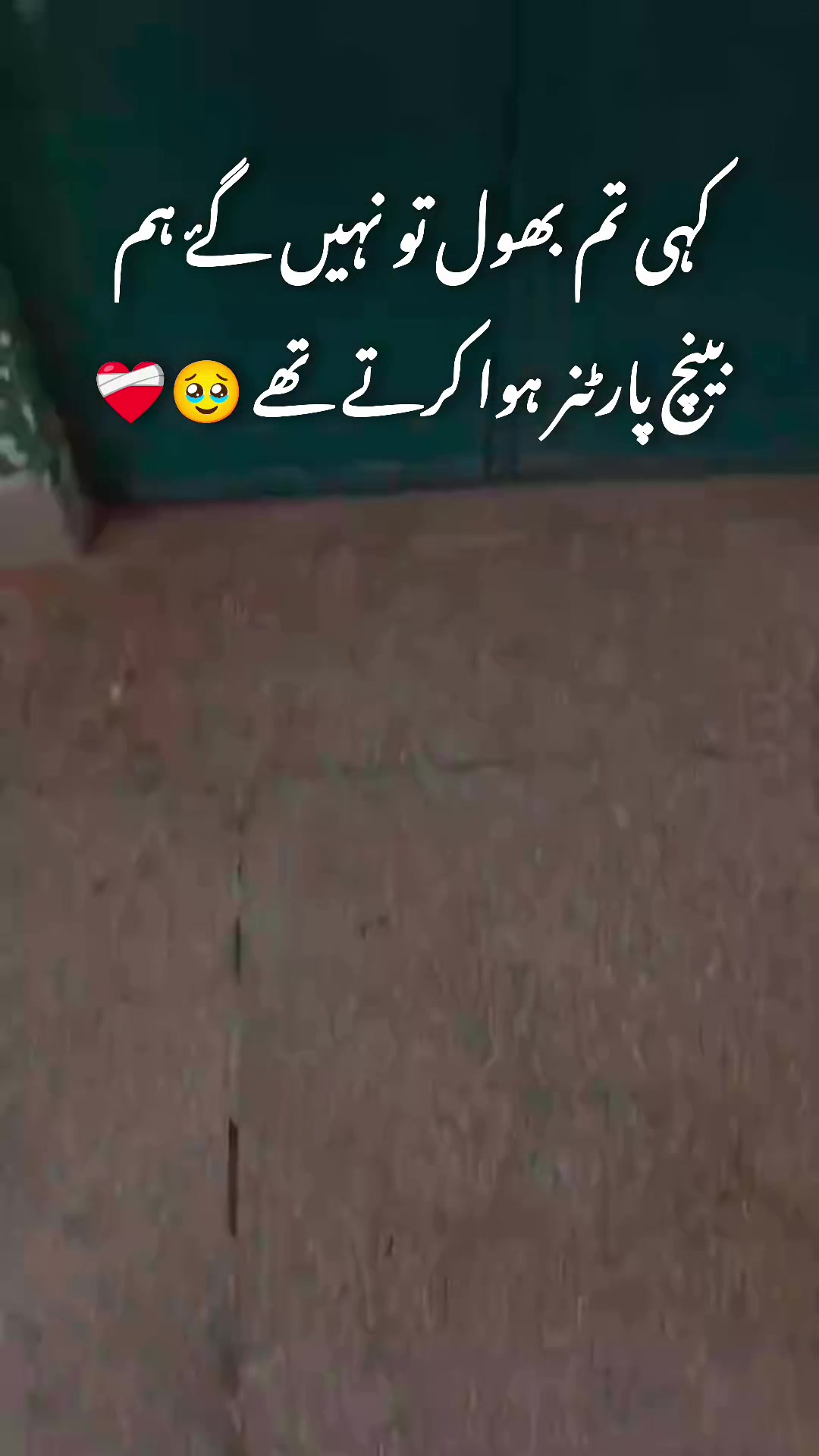 @💫Student_of_Chiniot 🎉 💫