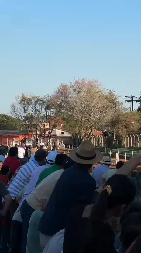 @Adriano Galeano Ozun
