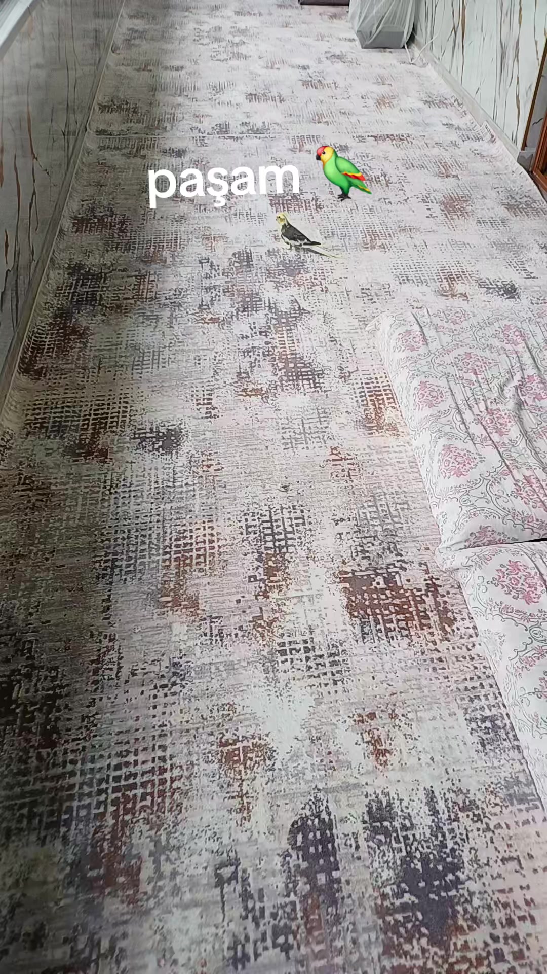 @🦋MAVIŞIM🦋