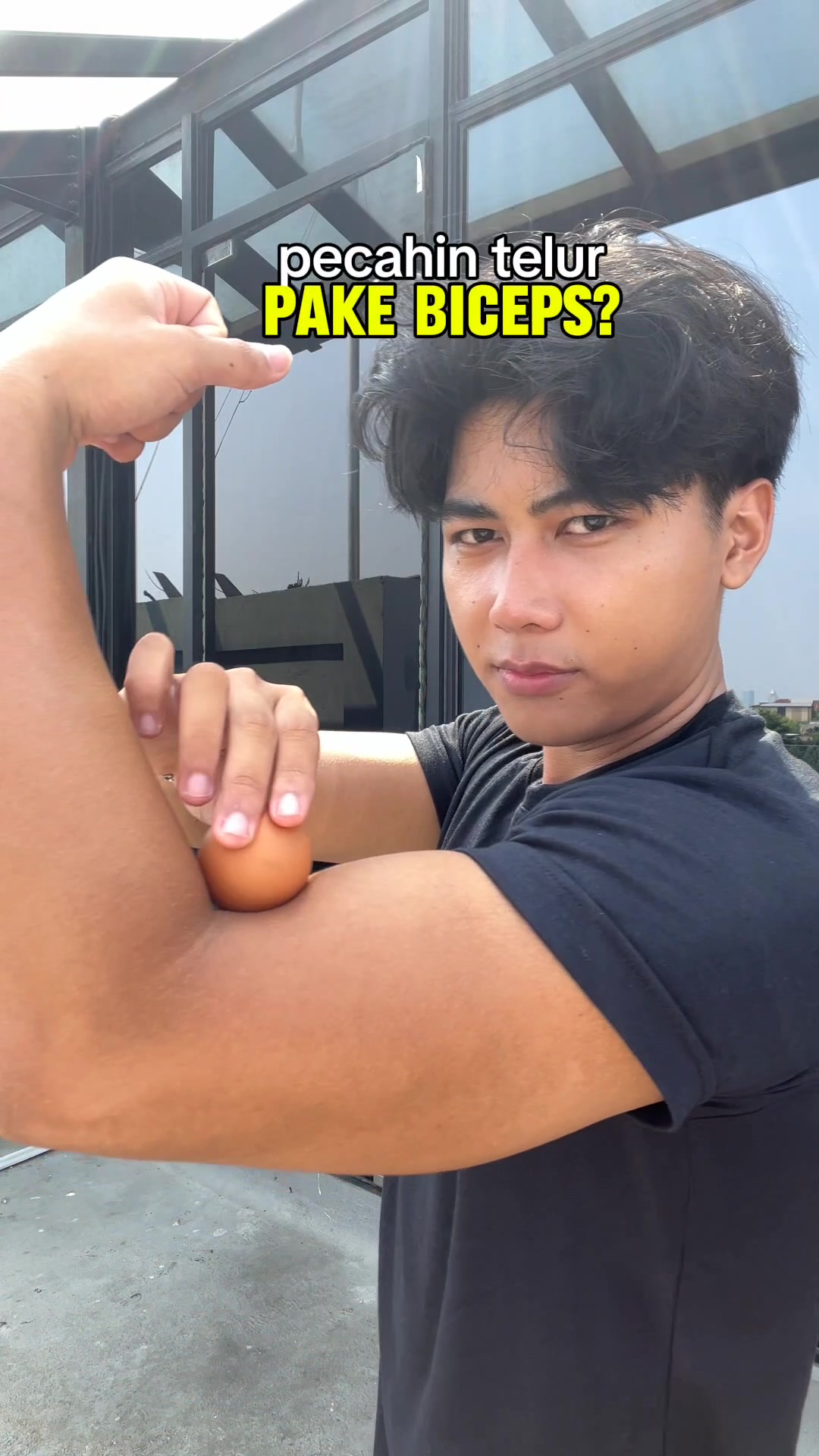 @rylex