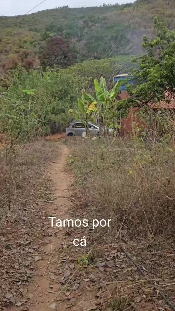 @zemarcos