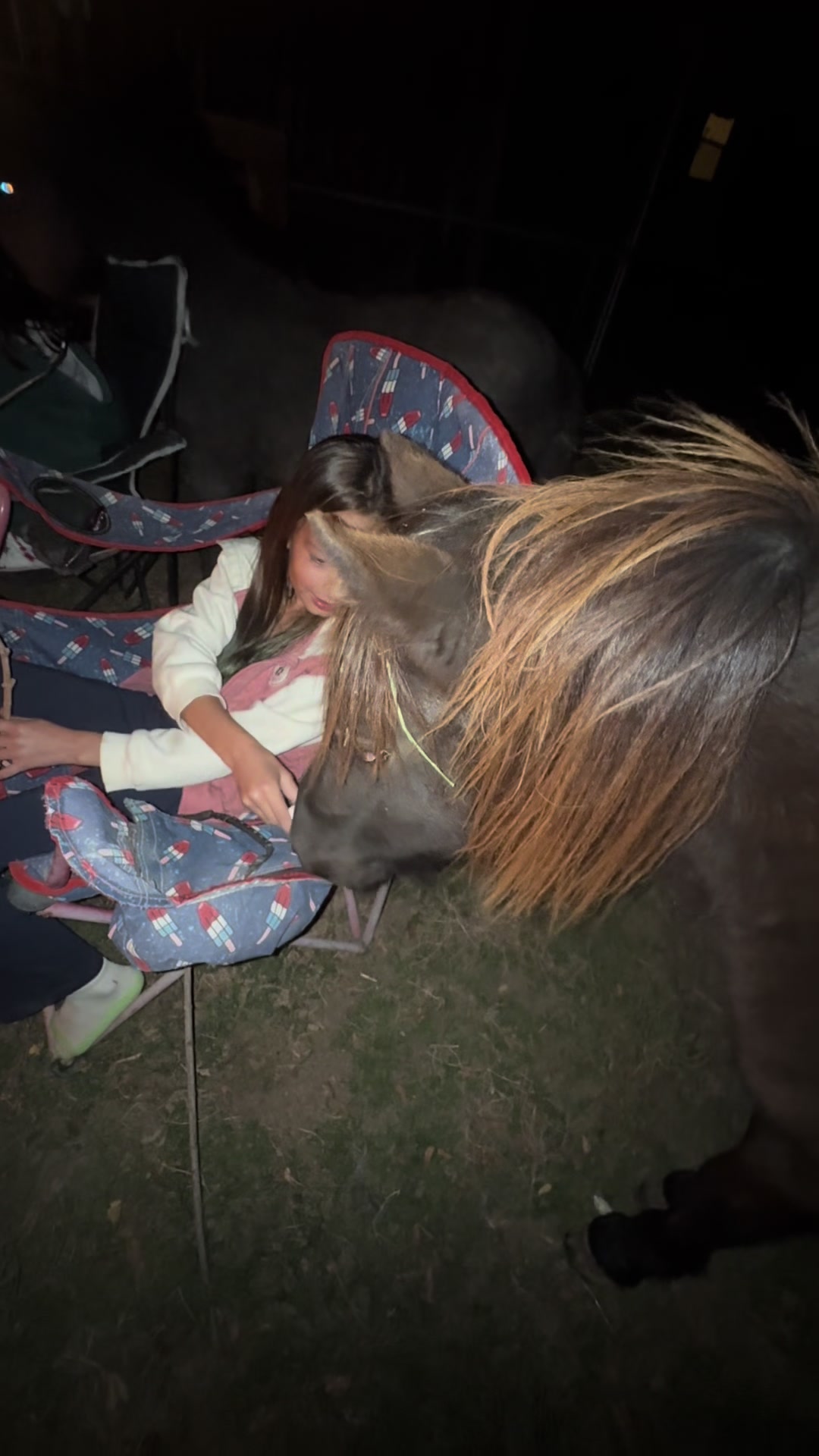 @Hot Sauce the Mini horse 🐎