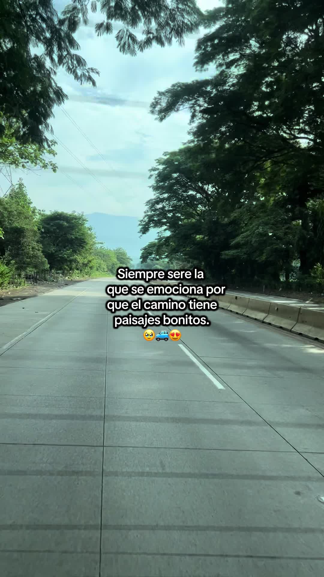 @Erika🪻