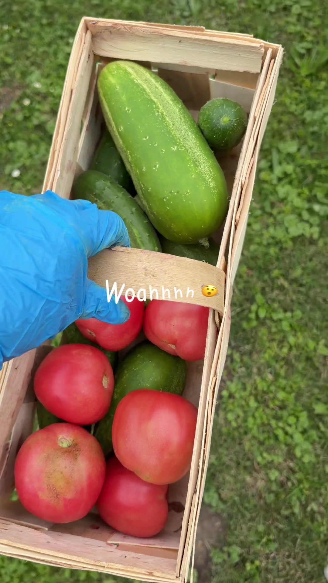 @MacMoni