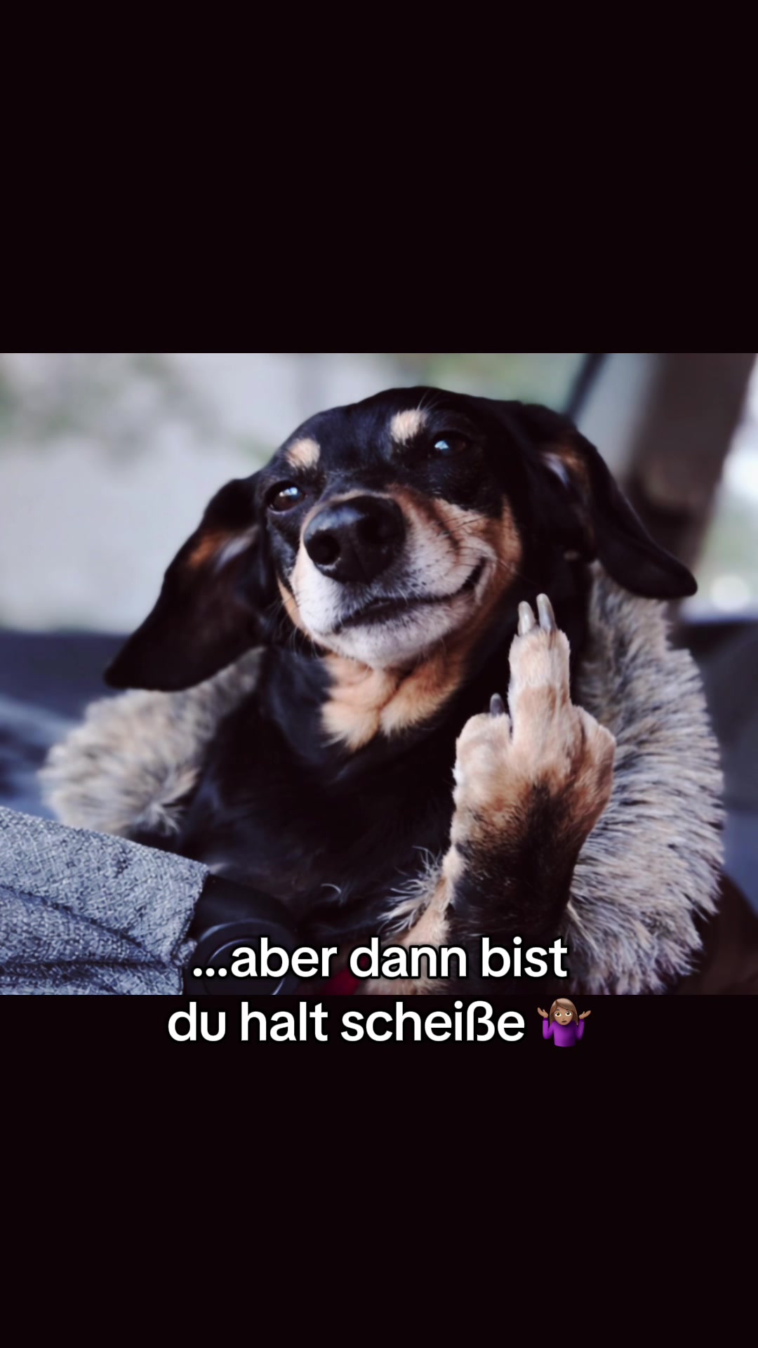 @Rumpelstilzchen