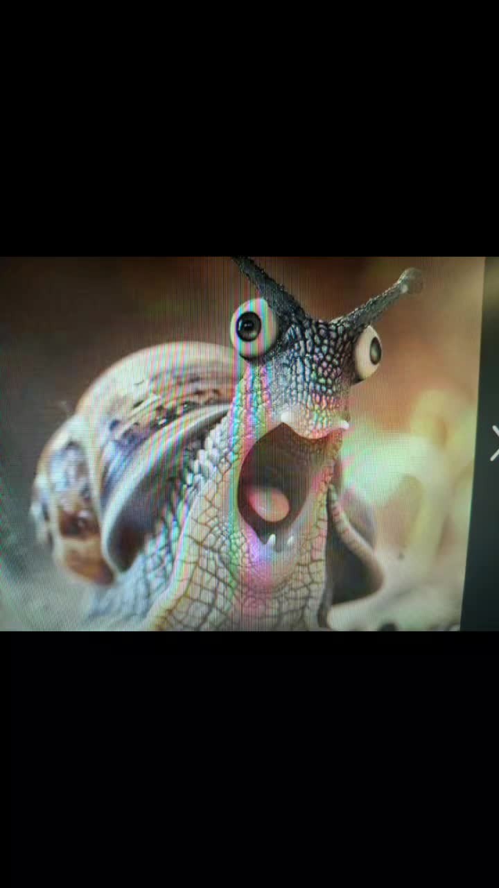 @Kaddy 👀 # 🙉🙈🙊