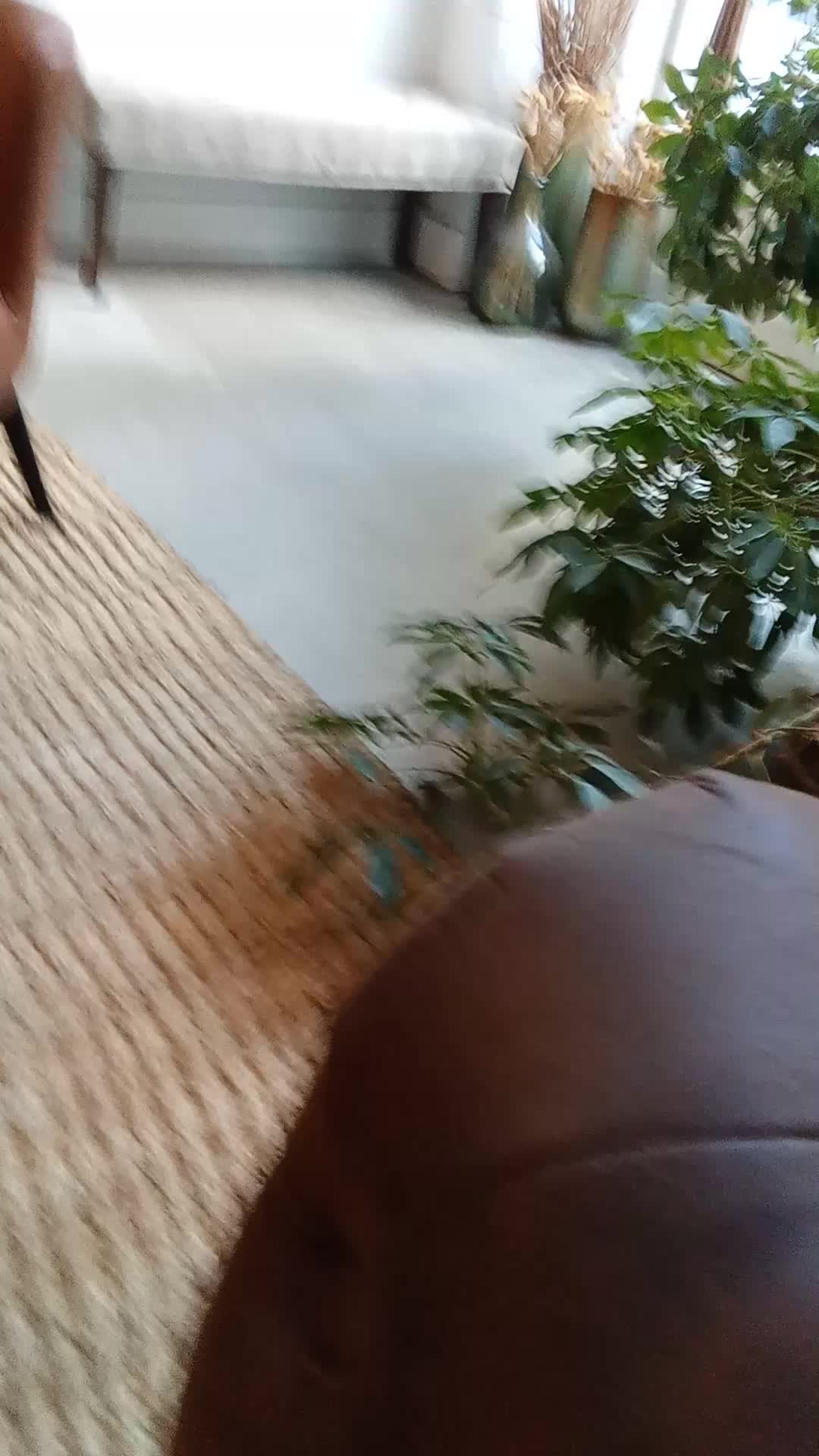 @REDRUM_COMMUNITY