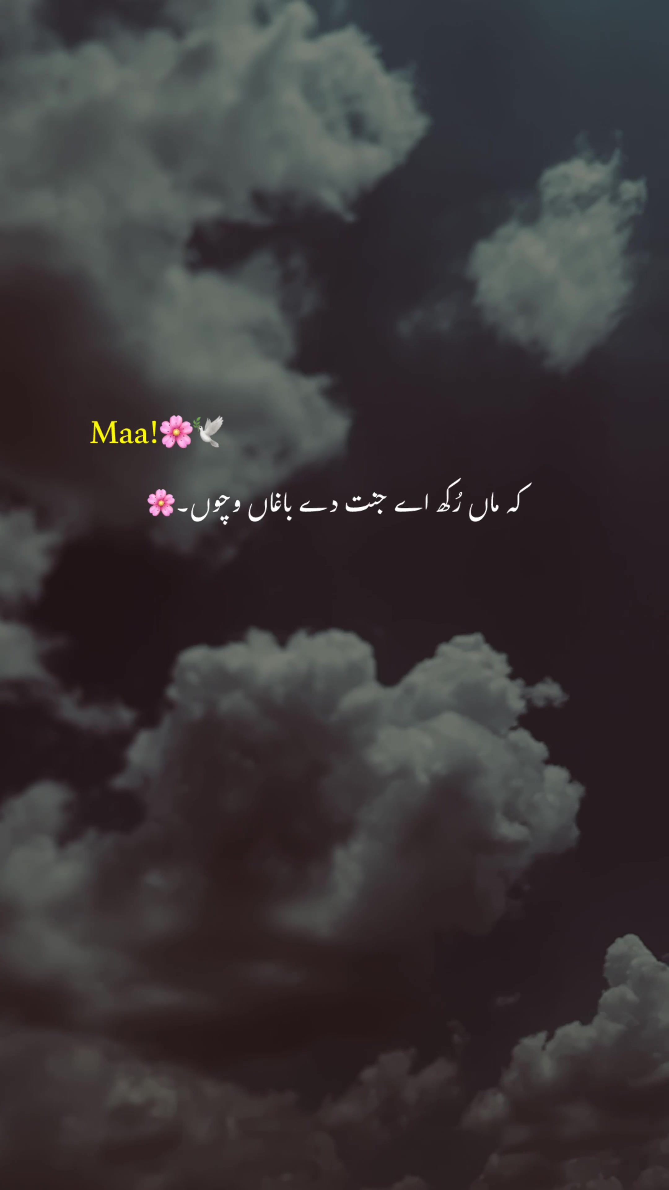 @AرHAM.🌸