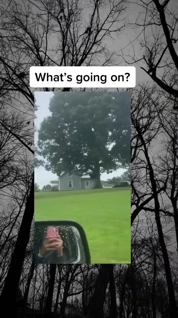 @SCARYVIDEOS