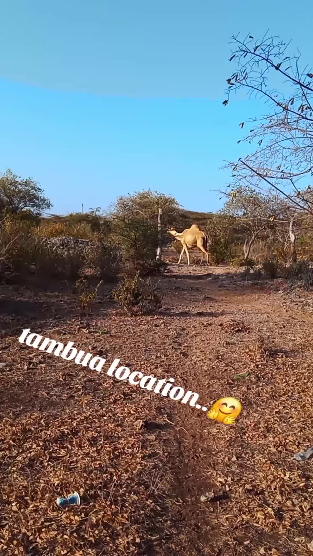 @&Ccedil;ommander Ɓiggy🇰🇪