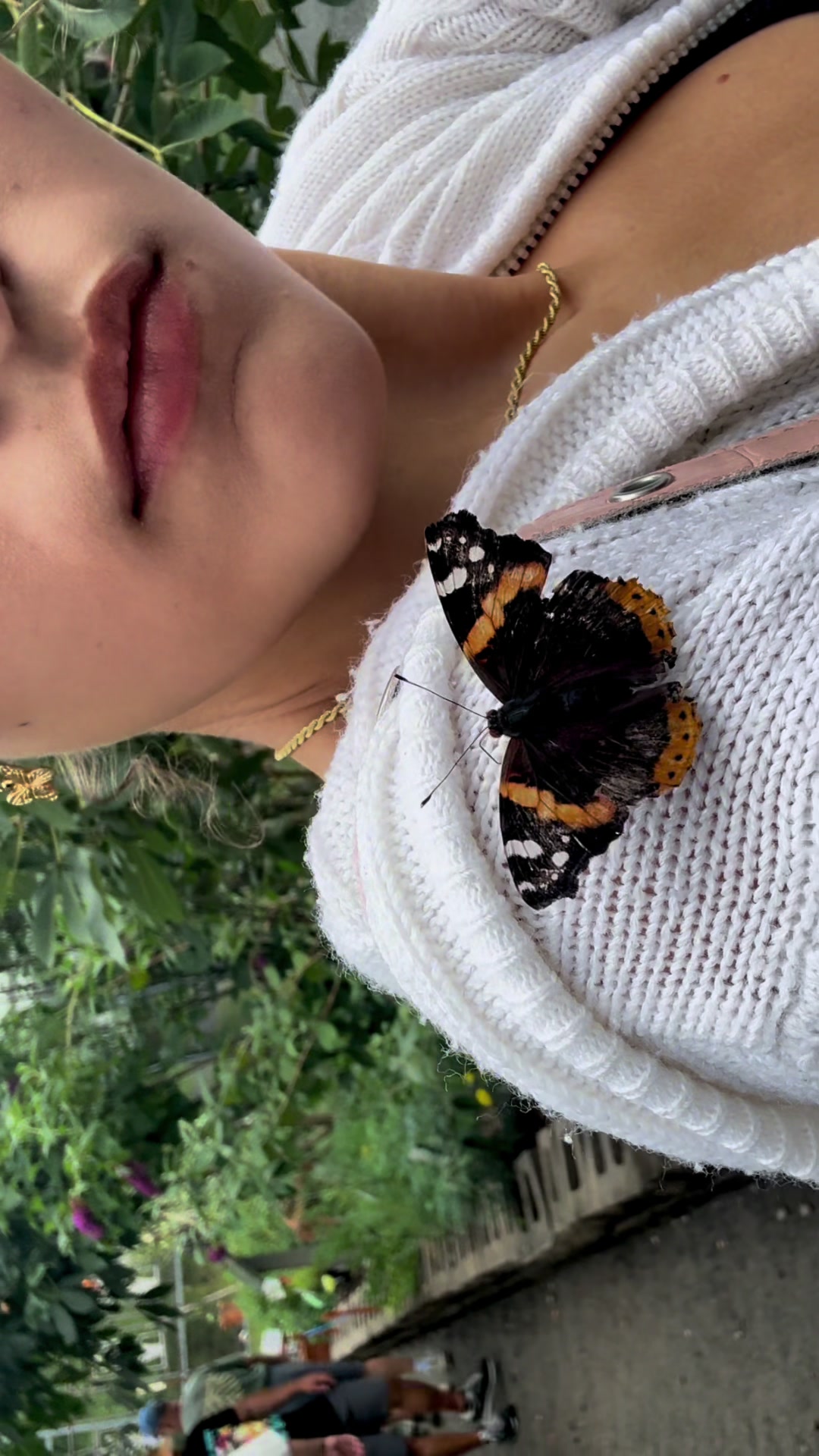 @🐛