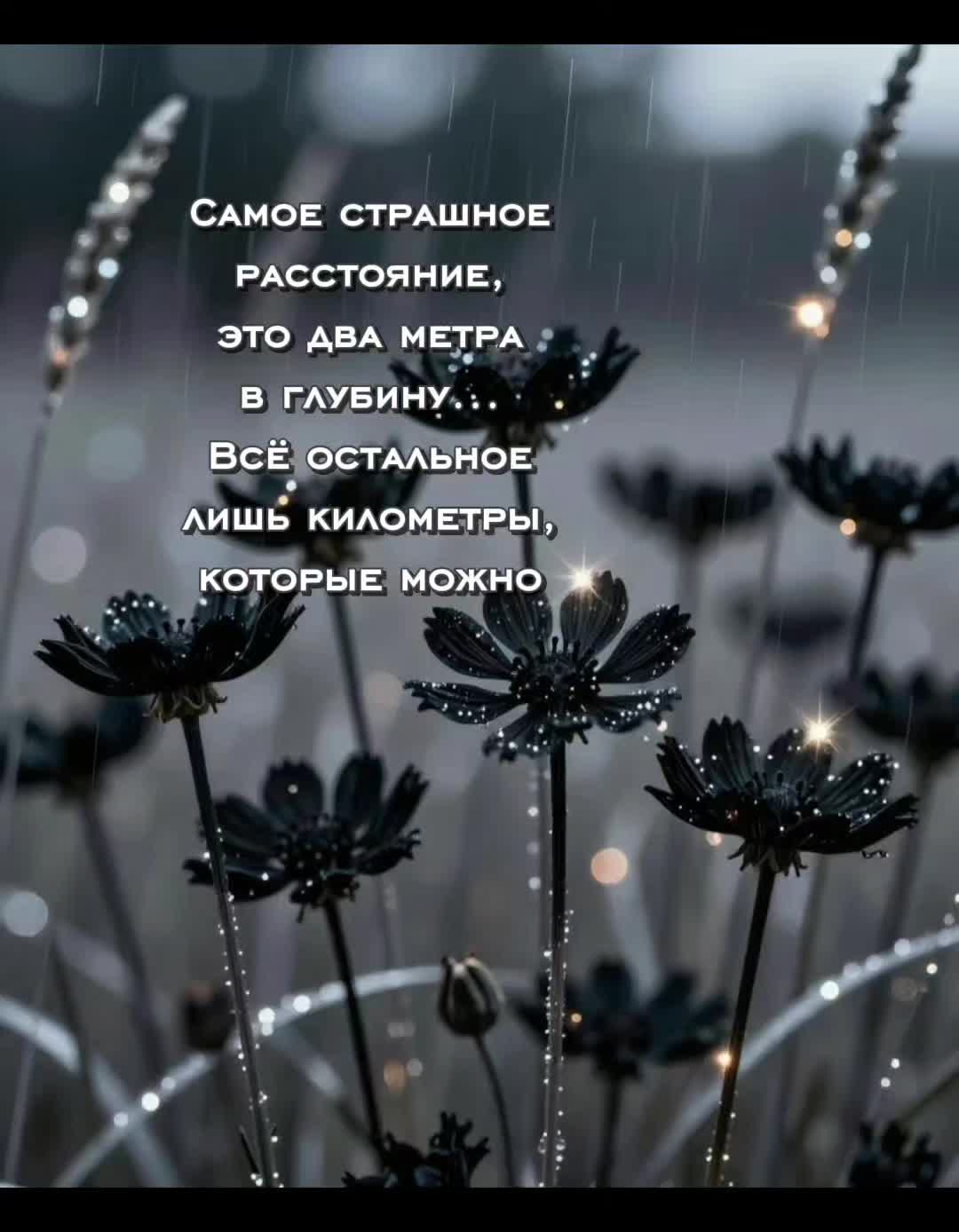 @Цитаты, статусы)