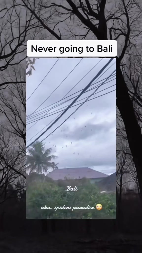 @SCARYVIDEOS