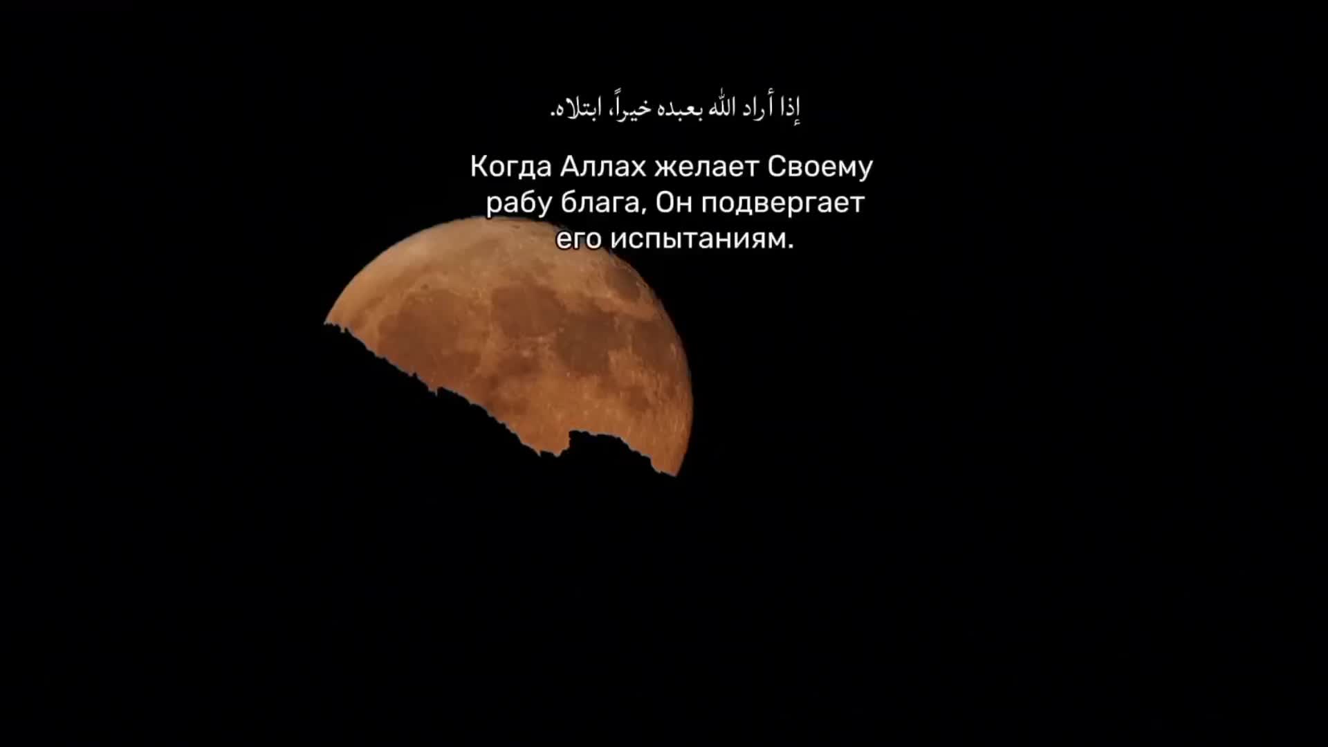 @𝐧𝐢𝐤𝐡𝐚𝐭