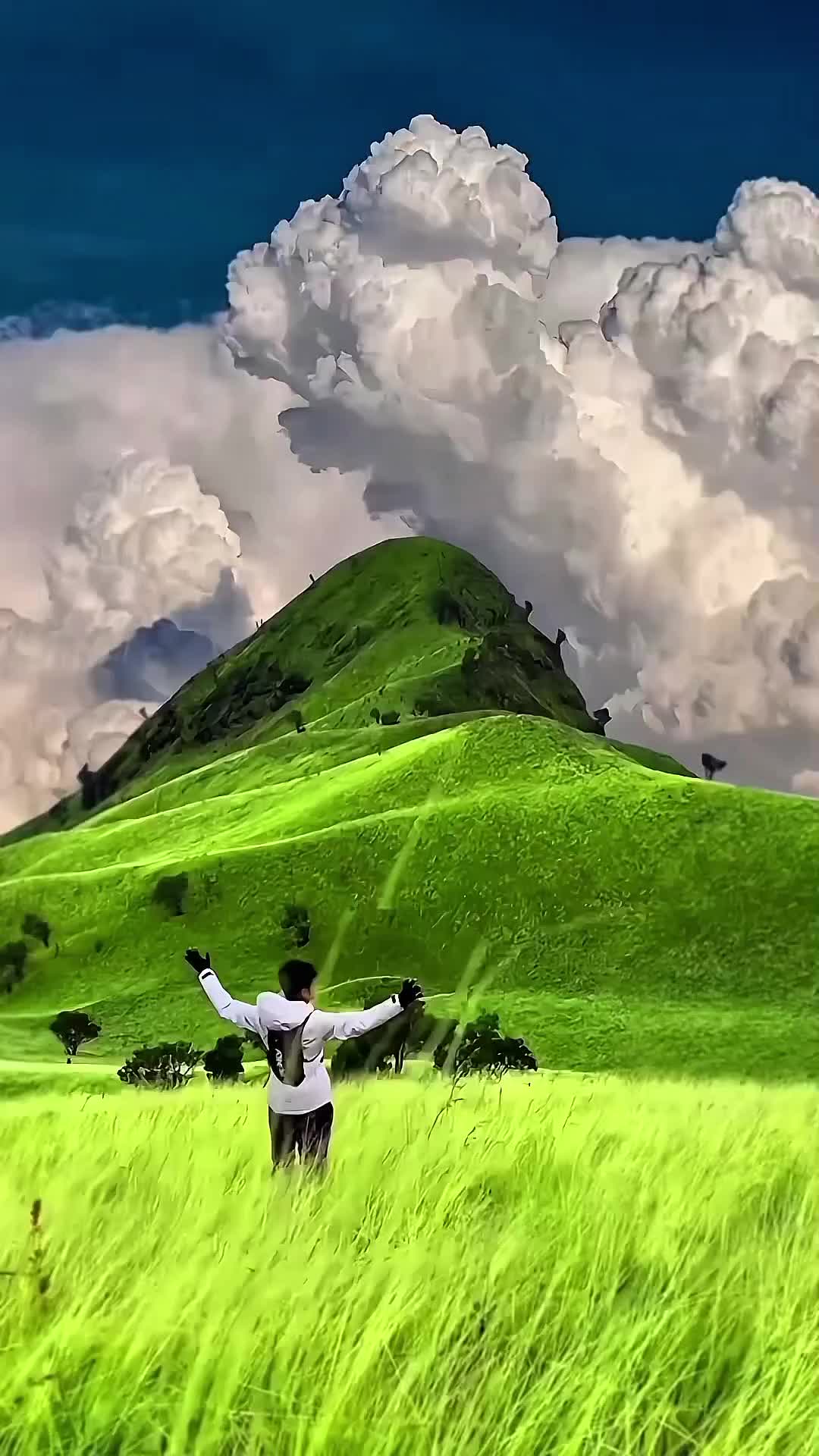 @user80651171684