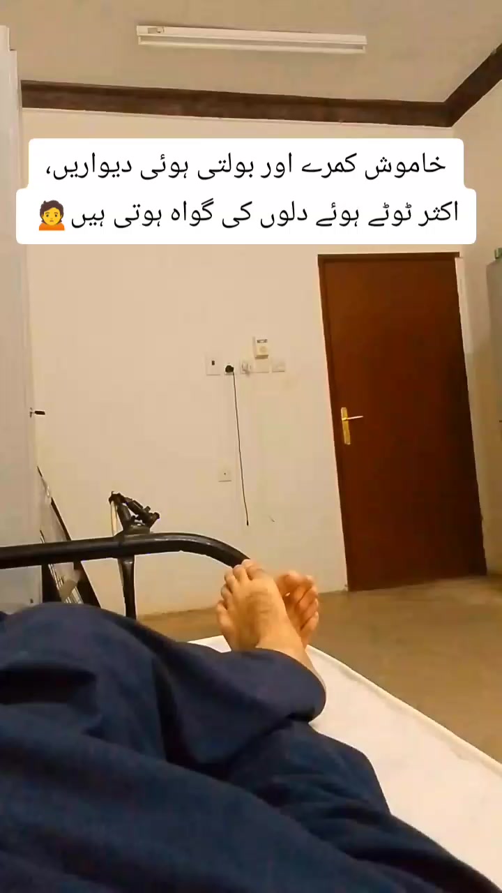 @🕊️