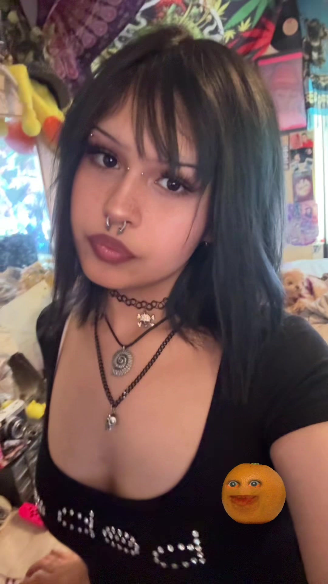 @vaeh