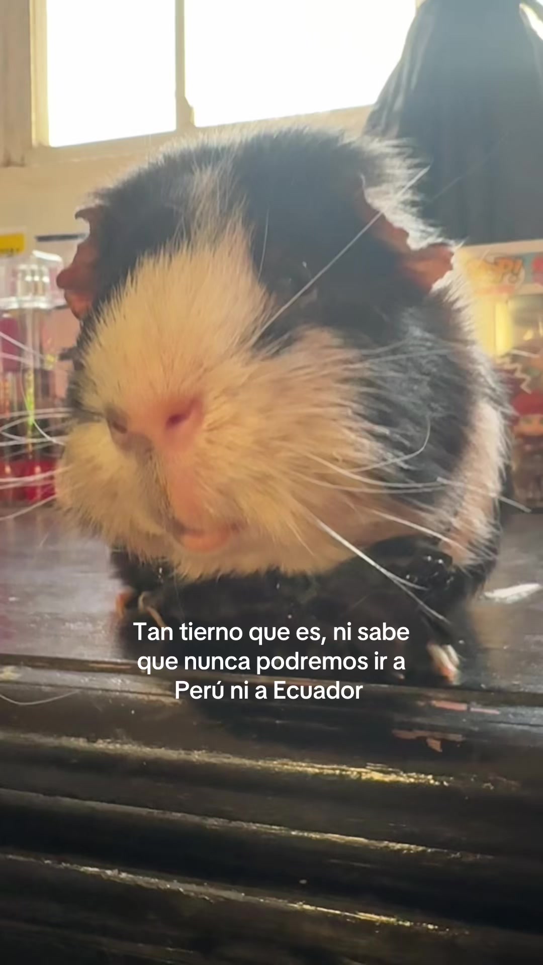 @Karen Quiroz