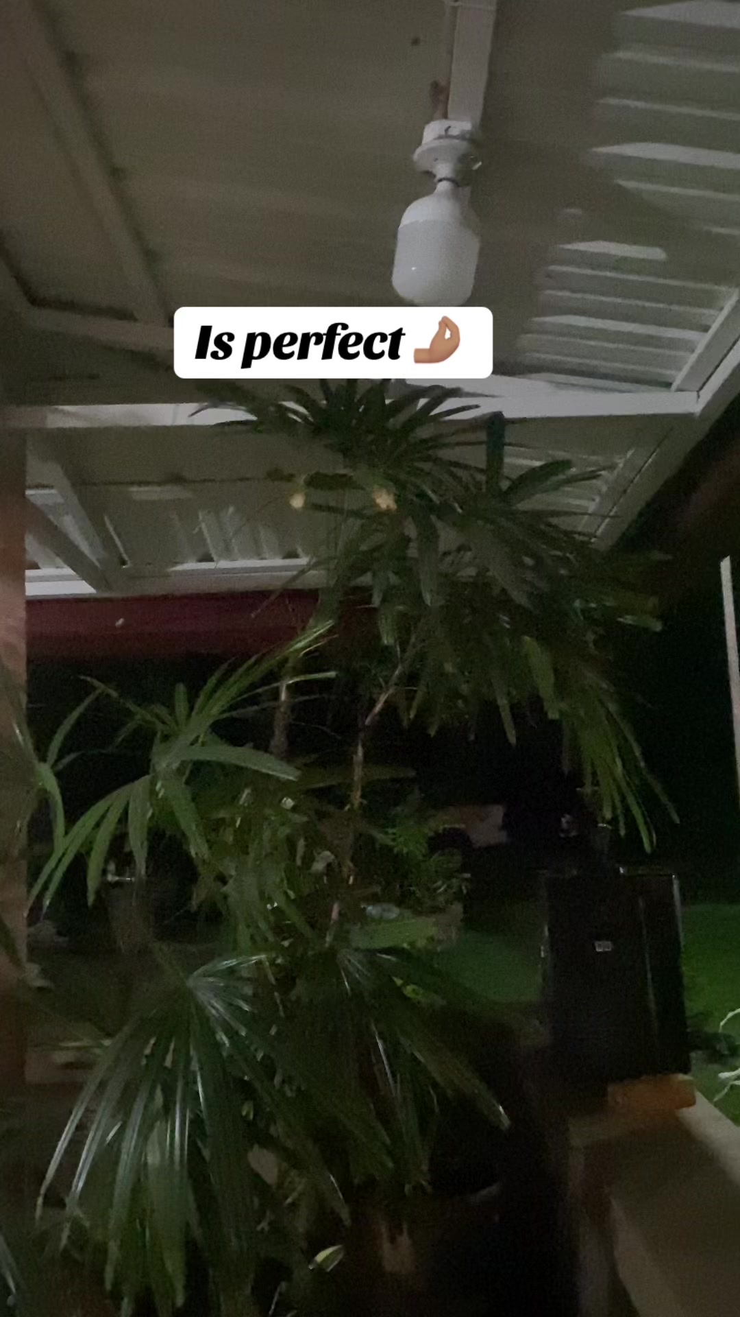@soloseviveunavez9102